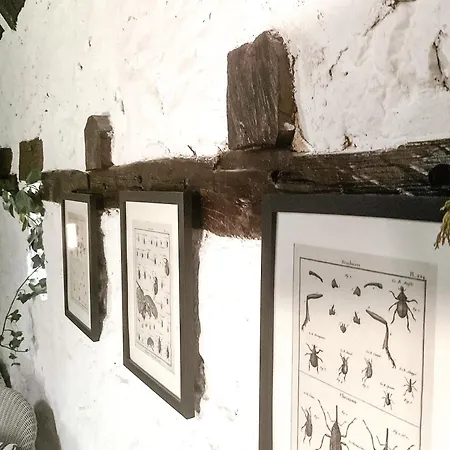 Domaine De Pragelier, Le 3*