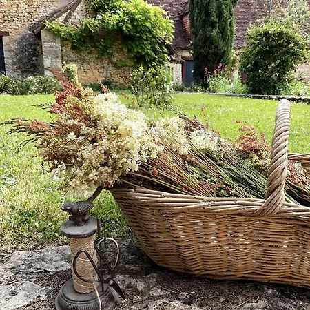 Domaine De Pragelier, Le Caribou Oda ve Kahvaltı Tourtoirac